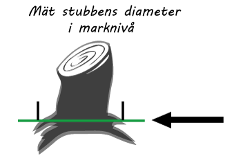 Mät stubbens diameter i marknivå